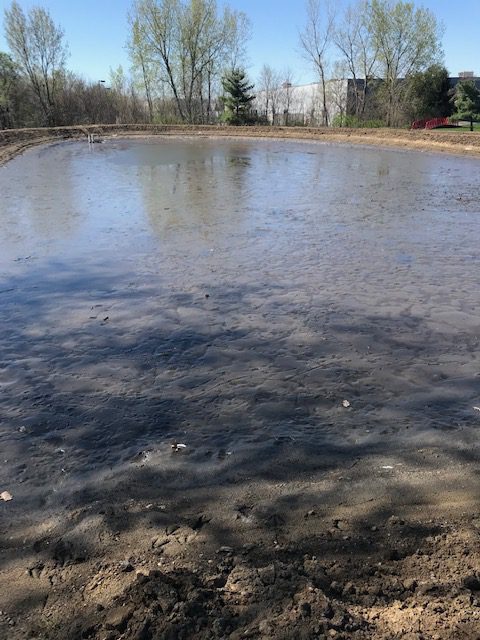 a murky pond filled with sediment with trees lining the background