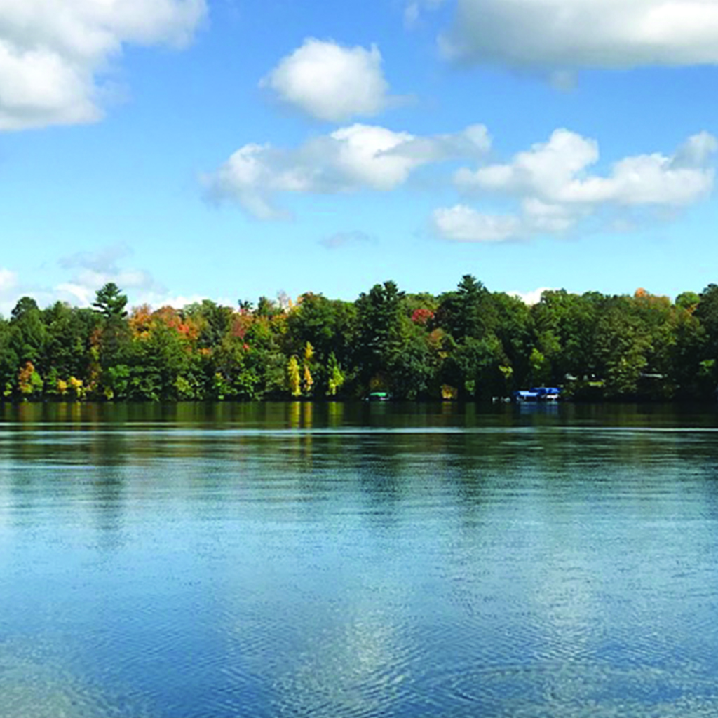 a clear lake sits in front of a shoreline with colorful trees